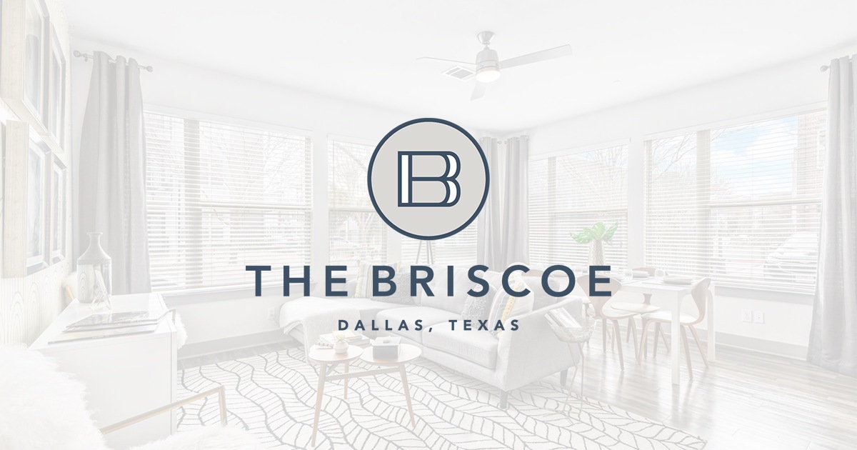 The Briscoe Apartments apartment photo